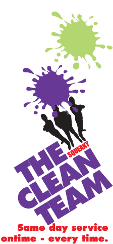 The Squeaky Clean Team Chelsea